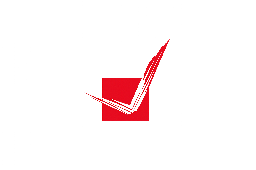 Partner 20